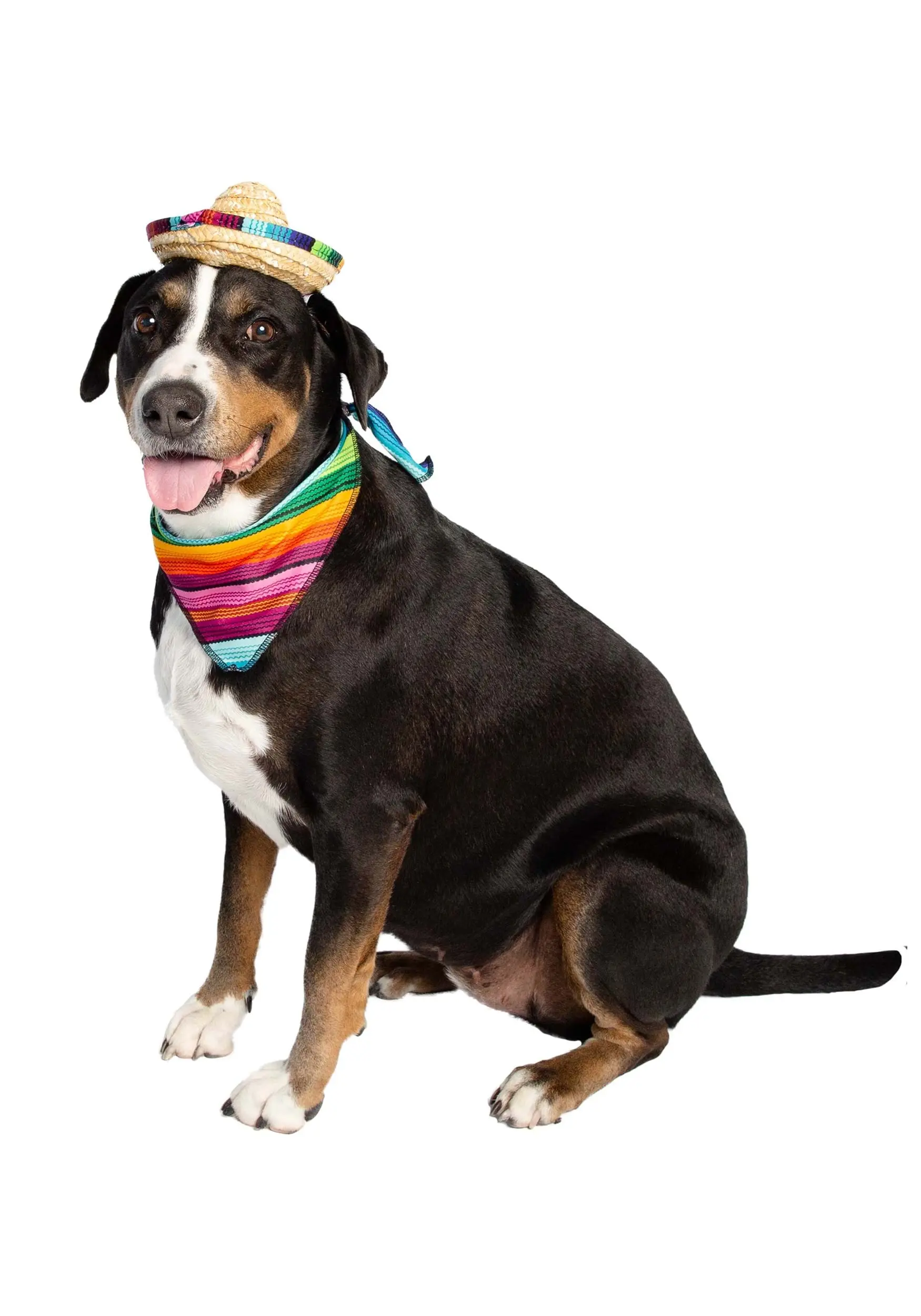 Pet Krewe Bandana And Sombrero Pet Costume Set - Image 6