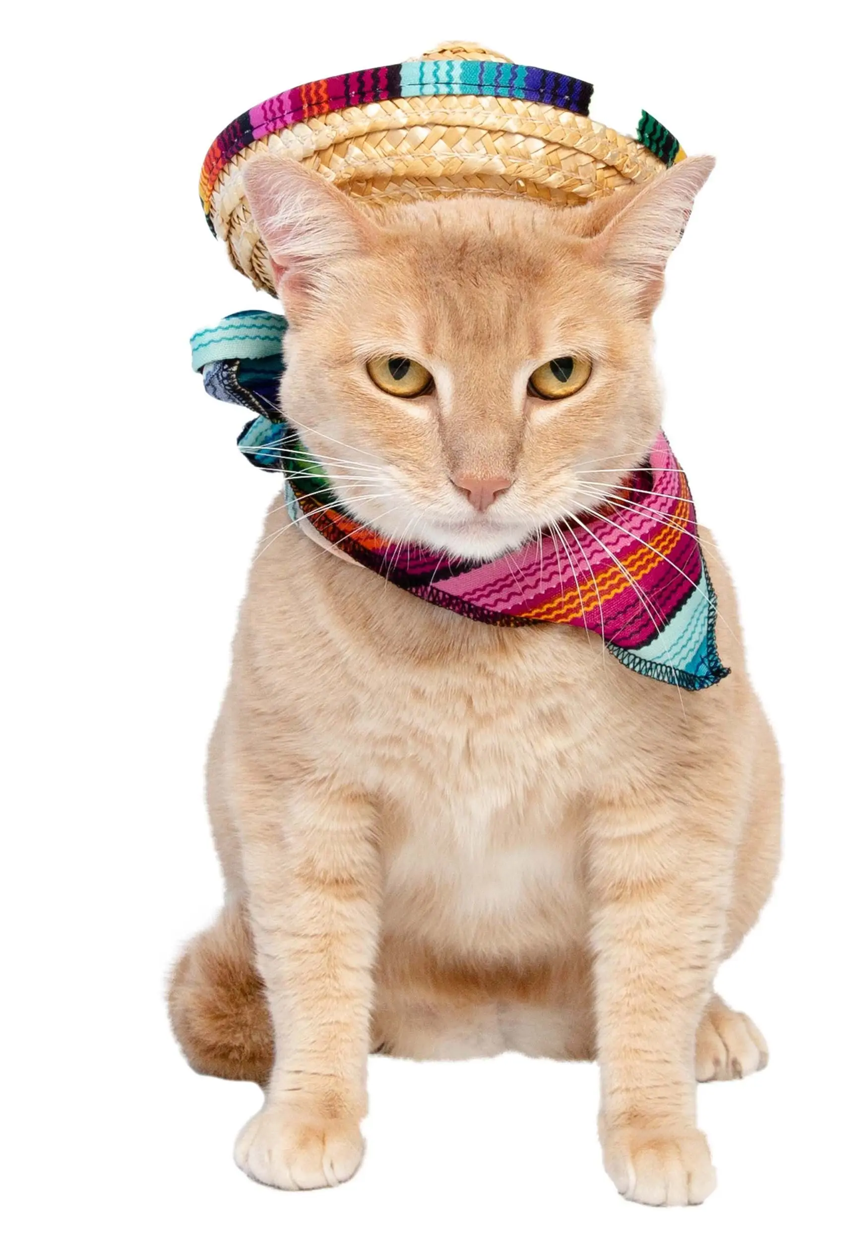 Pet Krewe Bandana And Sombrero Pet Costume Set